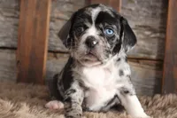 processed/92b48d51-cb42-45c8-8c29-7c245355d796/listing/2ca3698a-bf9a-44e5-b6fa-75d73671f00d/c206bcb7-f313-48b7-970d-99af2979b35c