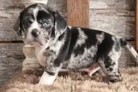 processed/92b48d51-cb42-45c8-8c29-7c245355d796/listing/2ca3698a-bf9a-44e5-b6fa-75d73671f00d/c4f8627c-6ef1-46f7-aa9e-96878fe0ae73