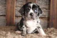 processed/92b48d51-cb42-45c8-8c29-7c245355d796/listing/2ca3698a-bf9a-44e5-b6fa-75d73671f00d/c7a2c05b-c3a1-40cd-ad02-006dfabad993