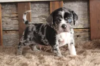 processed/92b48d51-cb42-45c8-8c29-7c245355d796/listing/2ca3698a-bf9a-44e5-b6fa-75d73671f00d/e69084f4-a328-4966-9c24-477d4617f72c