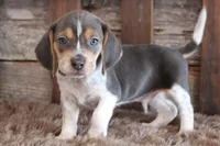 processed/92b48d51-cb42-45c8-8c29-7c245355d796/listing/3490609d-0690-4d4e-88ec-85a55c299427/01a72043-03d7-4402-8f9d-a75c94e5e450