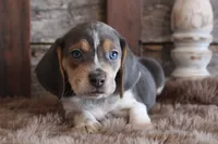 processed/92b48d51-cb42-45c8-8c29-7c245355d796/listing/3490609d-0690-4d4e-88ec-85a55c299427/2cff0cd4-2893-4bee-827b-0318fd3f3795