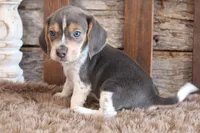 processed/92b48d51-cb42-45c8-8c29-7c245355d796/listing/3490609d-0690-4d4e-88ec-85a55c299427/b51c176b-e3ba-4dae-8c25-49aa4e198909