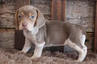 processed/92b48d51-cb42-45c8-8c29-7c245355d796/listing/5442eb3e-1a3c-4dbf-a9a9-1aacbfd8260c/6a9f0f3a-18ca-44fb-9600-5bc96a3265b2