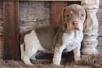 processed/92b48d51-cb42-45c8-8c29-7c245355d796/listing/5442eb3e-1a3c-4dbf-a9a9-1aacbfd8260c/811bfe40-7c57-4cbc-aa7a-ffa381ef7485