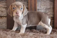 processed/92b48d51-cb42-45c8-8c29-7c245355d796/listing/5442eb3e-1a3c-4dbf-a9a9-1aacbfd8260c/d8a4062f-569d-4b61-8e8d-41d6582cebfb