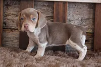 processed/92b48d51-cb42-45c8-8c29-7c245355d796/listing/5442eb3e-1a3c-4dbf-a9a9-1aacbfd8260c/eaa4456d-89b8-4c71-9a7f-690317ca6d30