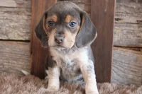 processed/92b48d51-cb42-45c8-8c29-7c245355d796/listing/7eacb54e-c92d-434c-809a-f64420899256/887dbb27-9c48-4510-a7fb-047a3eaf2832