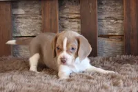 processed/92b48d51-cb42-45c8-8c29-7c245355d796/listing/9e42c746-c185-41fe-908c-c5a1423f4315/1f10e862-9fe0-4c35-8773-7e37040967f5