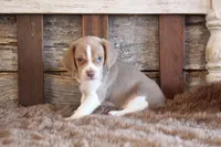 processed/92b48d51-cb42-45c8-8c29-7c245355d796/listing/9e42c746-c185-41fe-908c-c5a1423f4315/9c7ee678-ea1b-4e82-825e-19b700963956