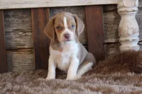 processed/92b48d51-cb42-45c8-8c29-7c245355d796/listing/9e42c746-c185-41fe-908c-c5a1423f4315/e5bbe269-44f3-478a-a6e8-42fccd4d5464