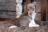 processed/92b48d51-cb42-45c8-8c29-7c245355d796/listing/b468f2c5-e58b-491d-bf90-1635b90c862e/4f90c751-e944-4199-aec6-8bec037af1cb