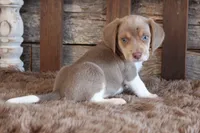 processed/92b48d51-cb42-45c8-8c29-7c245355d796/listing/b468f2c5-e58b-491d-bf90-1635b90c862e/6cdf95b7-b4f4-40e6-88af-e3a94ab7ba06