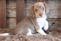 processed/92b48d51-cb42-45c8-8c29-7c245355d796/listing/b468f2c5-e58b-491d-bf90-1635b90c862e/7268f284-313b-4cfe-9f73-f172694989a3