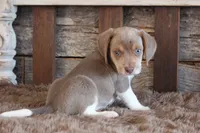 processed/92b48d51-cb42-45c8-8c29-7c245355d796/listing/b468f2c5-e58b-491d-bf90-1635b90c862e/a8ce4053-b004-4843-ad56-2258d07403de