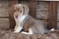 processed/92b48d51-cb42-45c8-8c29-7c245355d796/listing/b468f2c5-e58b-491d-bf90-1635b90c862e/b62eed82-d281-450a-8565-a477c1dffa22