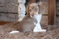 processed/92b48d51-cb42-45c8-8c29-7c245355d796/listing/b468f2c5-e58b-491d-bf90-1635b90c862e/bbb2470b-2beb-4bde-8ade-1ad12c393b07