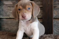 processed/92b48d51-cb42-45c8-8c29-7c245355d796/listing/c1d70906-f3ca-4935-b58a-ec430477e4bd/0d859414-519c-49cb-a3f9-da64882bc89e