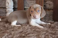 processed/92b48d51-cb42-45c8-8c29-7c245355d796/listing/c1d70906-f3ca-4935-b58a-ec430477e4bd/3ba1da07-0a88-4ec9-a963-4cfb8cb3d665