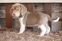 processed/92b48d51-cb42-45c8-8c29-7c245355d796/listing/c1d70906-f3ca-4935-b58a-ec430477e4bd/425337dd-3d0e-42ac-93ff-539f4aabbddb