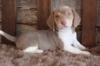 processed/92b48d51-cb42-45c8-8c29-7c245355d796/listing/c1d70906-f3ca-4935-b58a-ec430477e4bd/45a6a529-6cb6-47e2-abd5-25fae81ea563