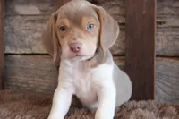 processed/92b48d51-cb42-45c8-8c29-7c245355d796/listing/c1d70906-f3ca-4935-b58a-ec430477e4bd/cec174b3-1f2f-4227-817c-7d42b9e64160