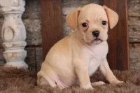 processed/92b48d51-cb42-45c8-8c29-7c245355d796/listing/d0e031ba-5cc3-4d39-9ba4-6560099cf564/d513f423-6aab-4d04-a973-87fe9e441d4d