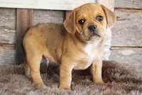 processed/92b48d51-cb42-45c8-8c29-7c245355d796/listing/d94baad5-b116-4b01-9d64-e2bef55c8501/03a7359a-bd27-4efb-aa84-8902e1345b2b