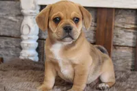 processed/92b48d51-cb42-45c8-8c29-7c245355d796/listing/d94baad5-b116-4b01-9d64-e2bef55c8501/1940bbee-1480-4e1c-95c4-fc9f013d1a85