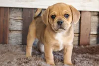 processed/92b48d51-cb42-45c8-8c29-7c245355d796/listing/d94baad5-b116-4b01-9d64-e2bef55c8501/236349ba-90f2-440b-aed1-7af86174c796