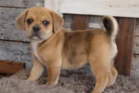 processed/92b48d51-cb42-45c8-8c29-7c245355d796/listing/d94baad5-b116-4b01-9d64-e2bef55c8501/b301dbe2-0e39-46bd-9c62-a983d7b1824c