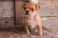 processed/92b48d51-cb42-45c8-8c29-7c245355d796/listing/e4375340-79a5-4c83-8246-182930e258a0/5a5b1f69-cb9e-4f58-924f-528ba85d6924