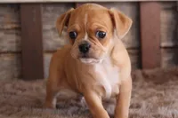 processed/92b48d51-cb42-45c8-8c29-7c245355d796/listing/e4375340-79a5-4c83-8246-182930e258a0/be3afe73-07bb-4078-af4f-02673f6b9b7b