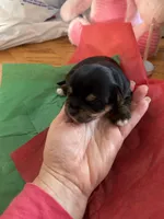 processed/92bc9eda-3fe0-442e-a2ae-97034c5c6433/listing/f0f34df3-3633-4ff2-b93e-2e36a6221892/4490526a-8e60-4a2e-8cbb-5c52f19ef8f4