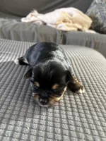 processed/92bc9eda-3fe0-442e-a2ae-97034c5c6433/listing/f0f34df3-3633-4ff2-b93e-2e36a6221892/4e5b8cc8-6b2c-4f71-8dff-bee9f3050584