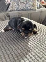 processed/92bc9eda-3fe0-442e-a2ae-97034c5c6433/listing/f0f34df3-3633-4ff2-b93e-2e36a6221892/50be3e33-c2ef-48f2-8004-5f55da684466