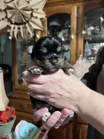 processed/92bc9eda-3fe0-442e-a2ae-97034c5c6433/listing/f0f34df3-3633-4ff2-b93e-2e36a6221892/b9992cb2-f509-465d-9258-8b9710ff06eb