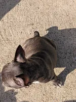 processed/92bec5c4-7c28-4483-ad05-0e1ade7e511c/facility/36ce308e-2228-4567-b7f8-42404568c795