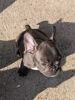 processed/92bec5c4-7c28-4483-ad05-0e1ade7e511c/facility/56161c90-5879-4127-8eb5-7d5198d56b76