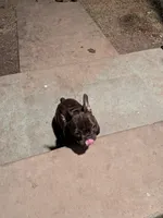 processed/92bec5c4-7c28-4483-ad05-0e1ade7e511c/facility/5c2401b9-514f-4519-a156-a0168c870da4