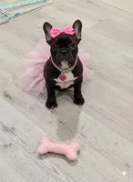 processed/92bec5c4-7c28-4483-ad05-0e1ade7e511c/facility/c078cbb6-eddd-4a95-bd7d-4bb0d8a1ef80