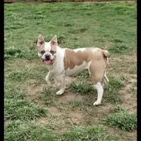 processed/92c54a63-2067-499c-8ed7-65075586975f/facility/922c6c8e-8503-4157-802b-9134960f6b27