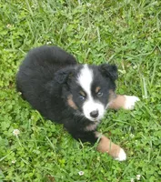 processed/92c8d0c6-554b-48b2-8d26-c4d07d04fad8/facility/3c94e633-564f-4eff-8cf5-88796d28382f