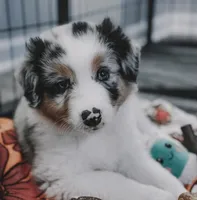 processed/92c8d0c6-554b-48b2-8d26-c4d07d04fad8/facility/4fca8be4-1846-4870-8017-b8b4fbebd887