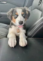 processed/92c8d0c6-554b-48b2-8d26-c4d07d04fad8/facility/68e8db38-a16a-4b32-9494-05f74fc21574