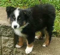 processed/92c8d0c6-554b-48b2-8d26-c4d07d04fad8/facility/88ad3394-90db-4cc7-9c7c-3a6e19b9ef92