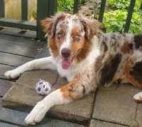 processed/92c8d0c6-554b-48b2-8d26-c4d07d04fad8/facility/8a74dae4-346a-49d5-9c8b-7233718921f7