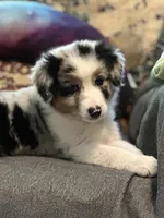 processed/92c8d0c6-554b-48b2-8d26-c4d07d04fad8/facility/96448f6b-eeed-469c-9e35-94fb56087860