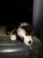 processed/92c8d0c6-554b-48b2-8d26-c4d07d04fad8/facility/97ac5b7c-6b48-4d93-ace9-e5a37a0f3339