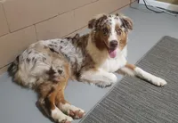 processed/92c8d0c6-554b-48b2-8d26-c4d07d04fad8/facility/9a25105e-7f97-4d86-864e-4a64b0bc99d9